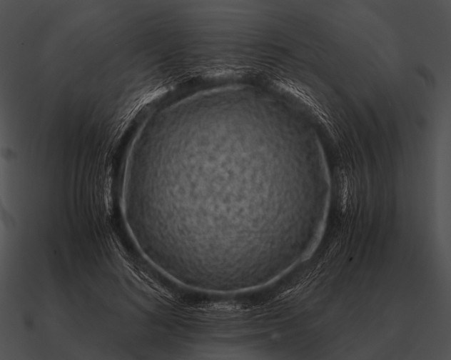 X0000090700692200708031414