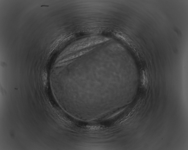 X0000090700693200708031414