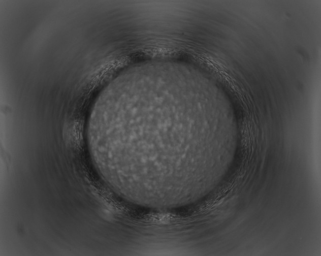 X0000090700695200708031414