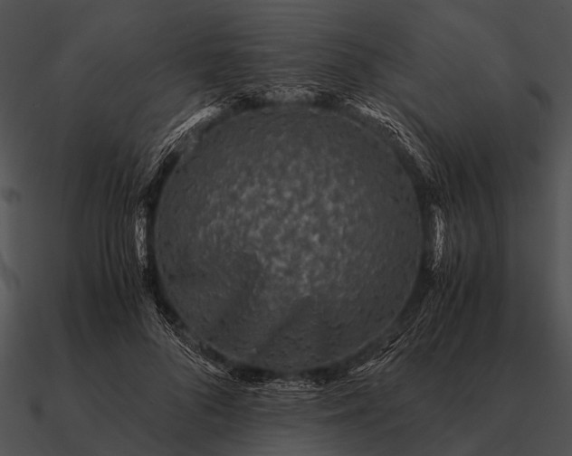 X0000090700696200708031414