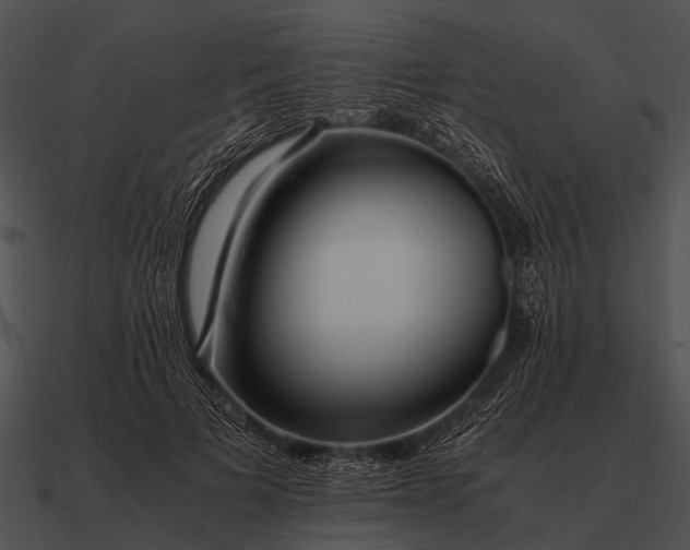 X0000090700697200708031414