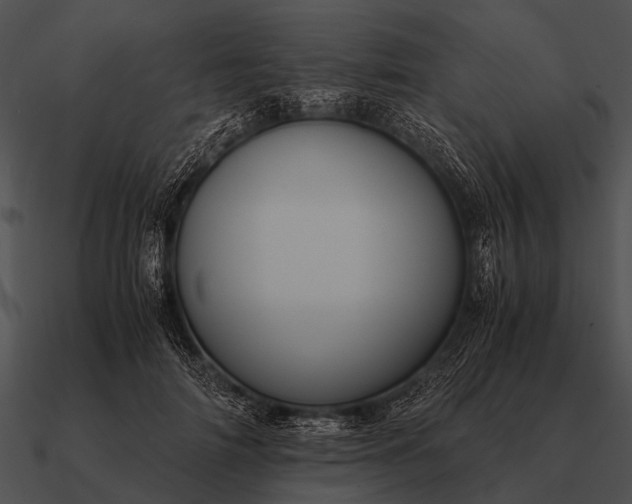 X0000090700698200708031414