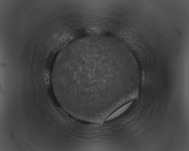 X0000090700699200708031413