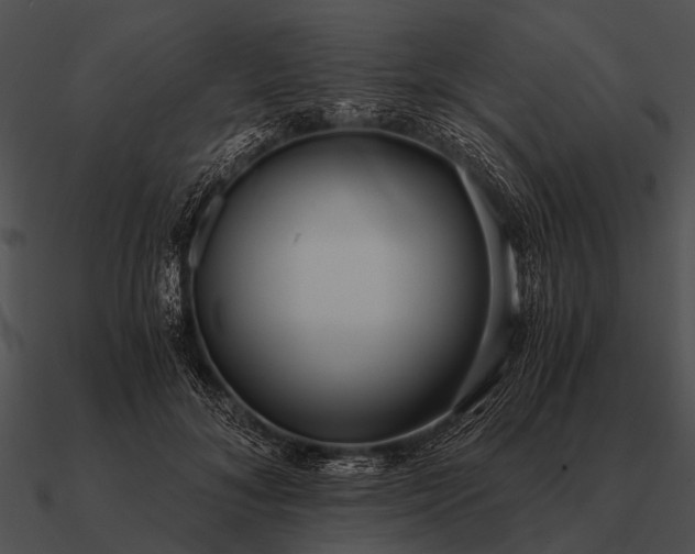 X0000090700700200708031413