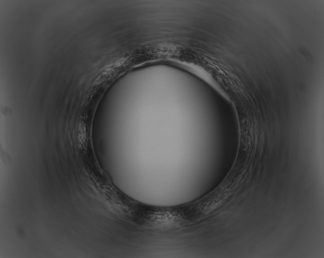 X0000090700704200708031413