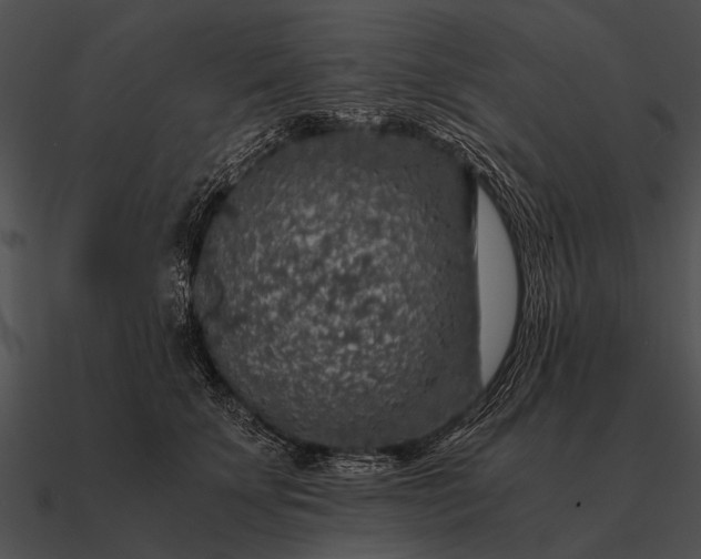 X0000090700707200708031413