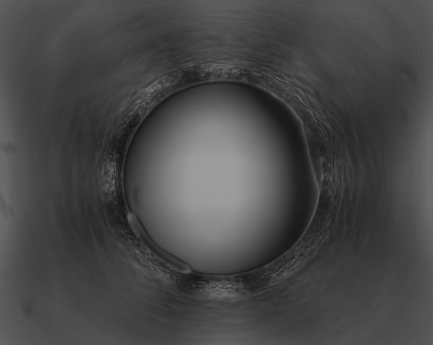 X0000090700708200708031413