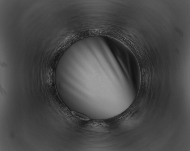 X0000090700712200708031413