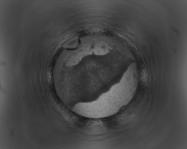 X0000090700715200708031413