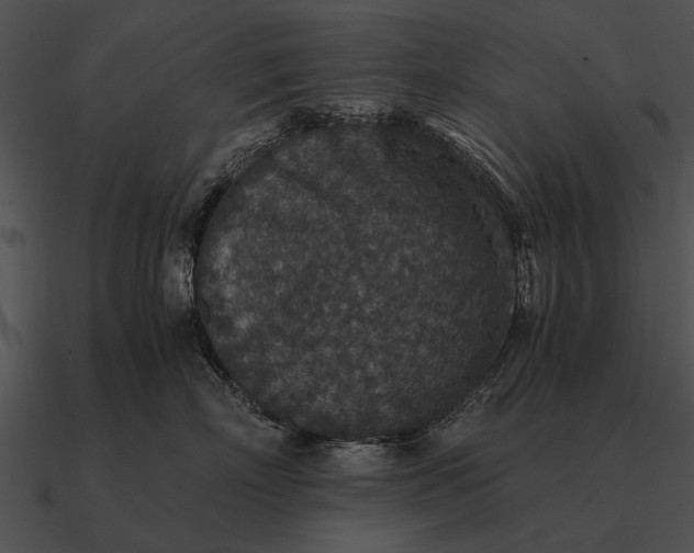 X0000090700718200708031413