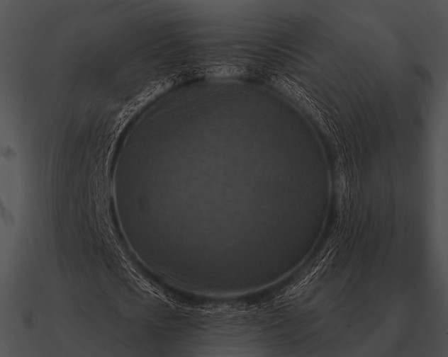 X0000090700721200708031413