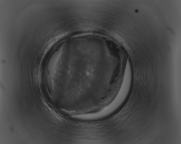 X0000090700722200708031413