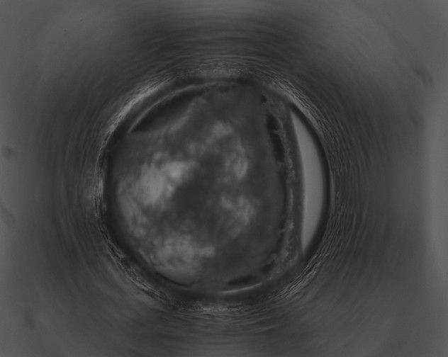 X0000090700723200708031413