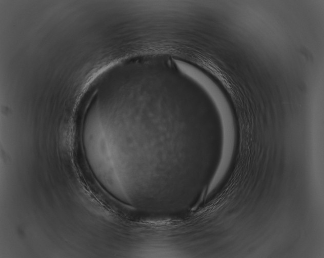 X0000090700724200708031413