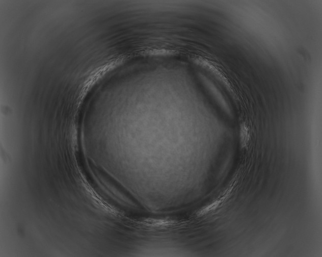 X0000090700725200708031413