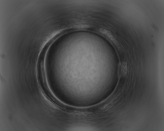 X0000090700726200708031413