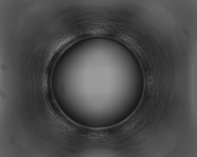 X0000090700727200708031413