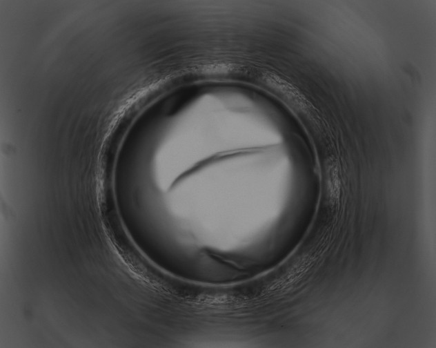 X0000090700728200708031413