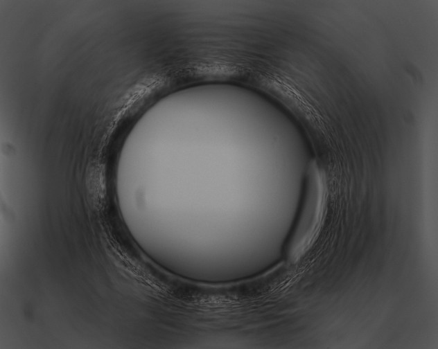 X0000090700731200708031413