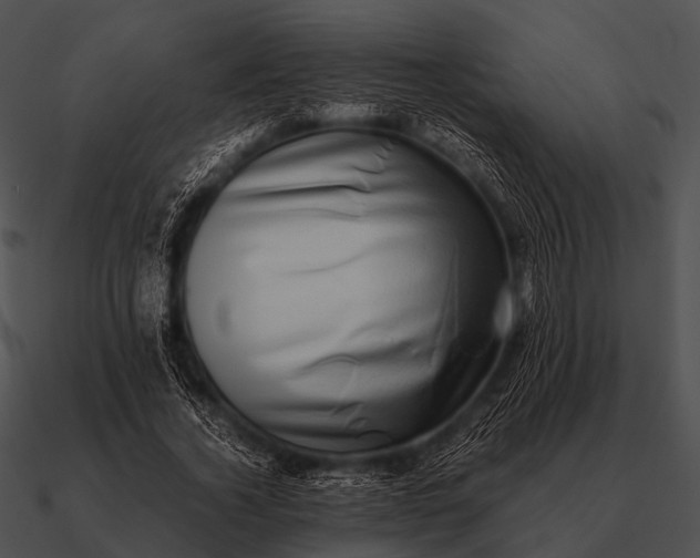 X0000090700732200708031413