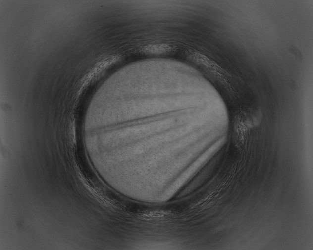 X0000090700734200708031413