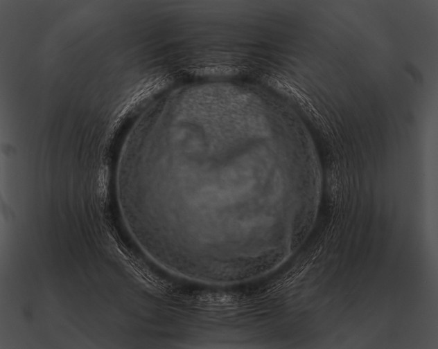 X0000090700735200708031413