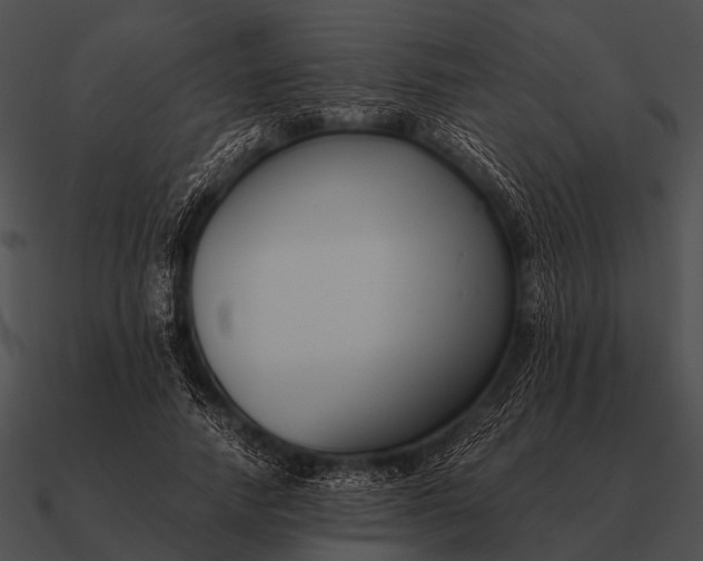 X0000090700738200708031413