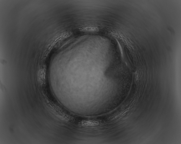 X0000090700739200708031413