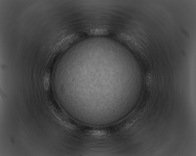 X0000090700741200708031413