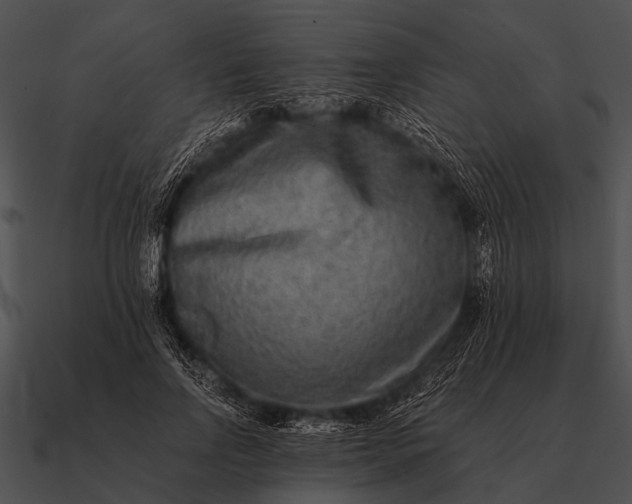 X0000090700742200708031413