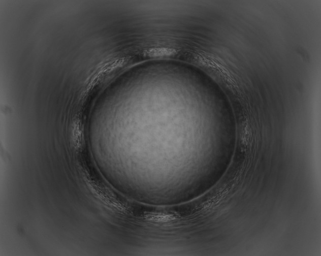 X0000090700743200708031413