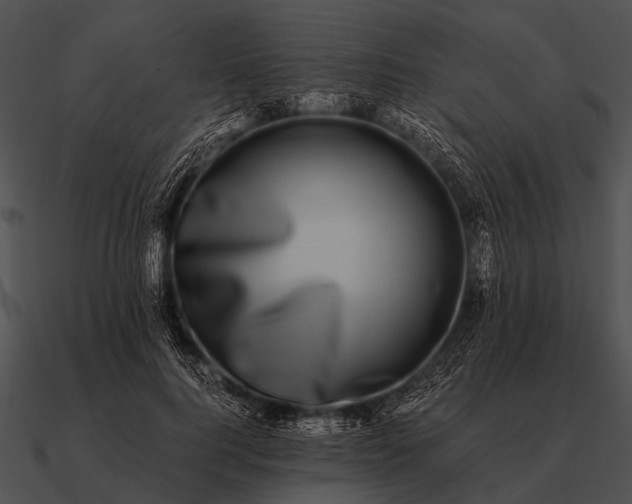 X0000090700744200708031413