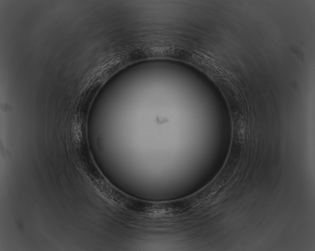 X0000090700746200708031413