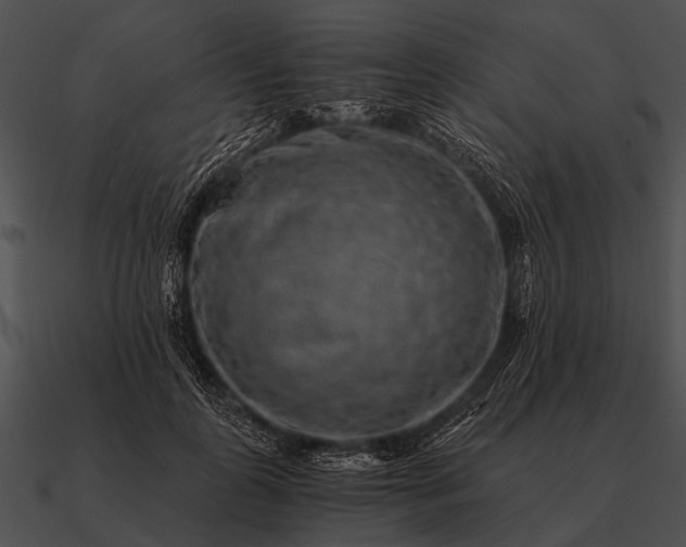 X0000090700747200708031413