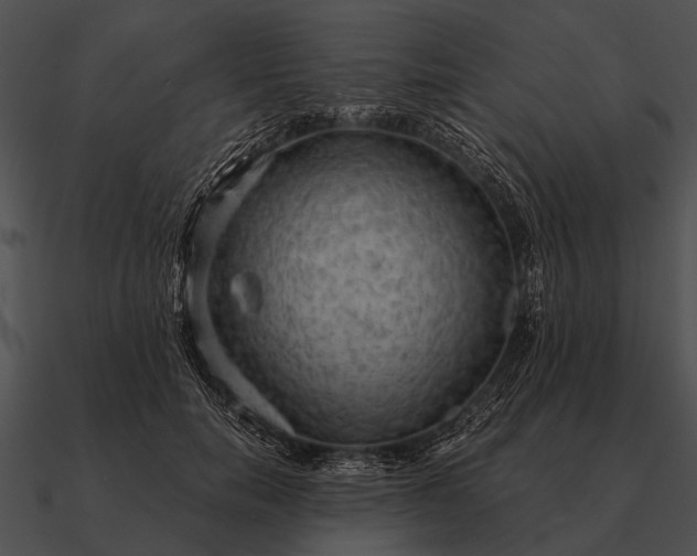 X0000090700750200708031413