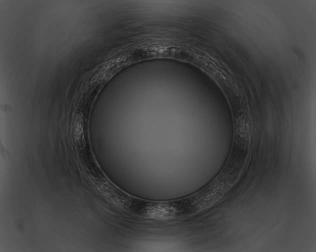 X0000090700754200708031413