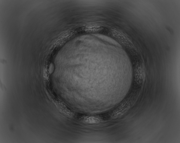 X0000090700755200708031413