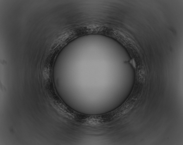 X0000090700756200708031413