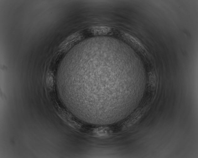 X0000090700761200708031413