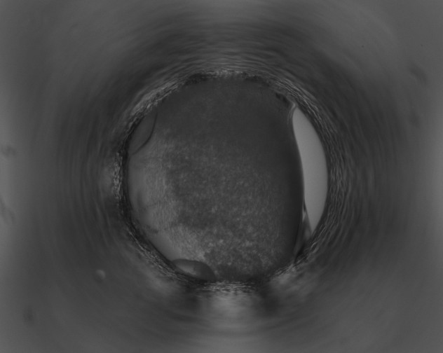 X0000090700762200708031413