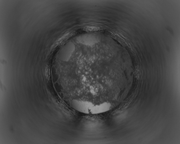 X0000090700763200708031413