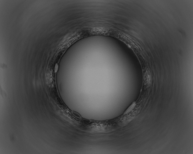 X0000090700764200708031413