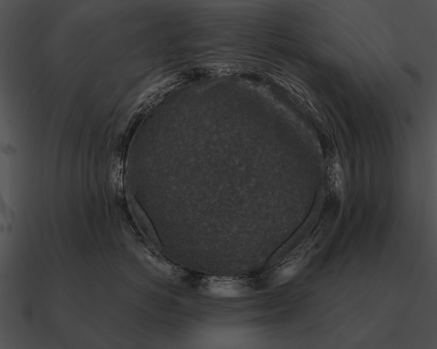 X0000090700766200708031413