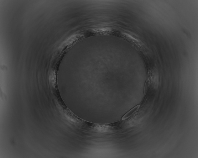 X0000090700767200708031413