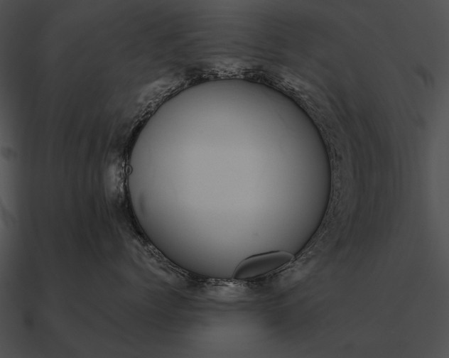 X0000090700768200708031413