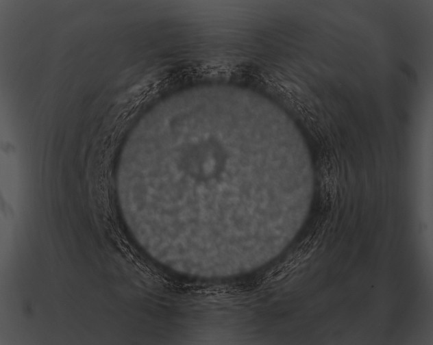 X0000090700769200708031413