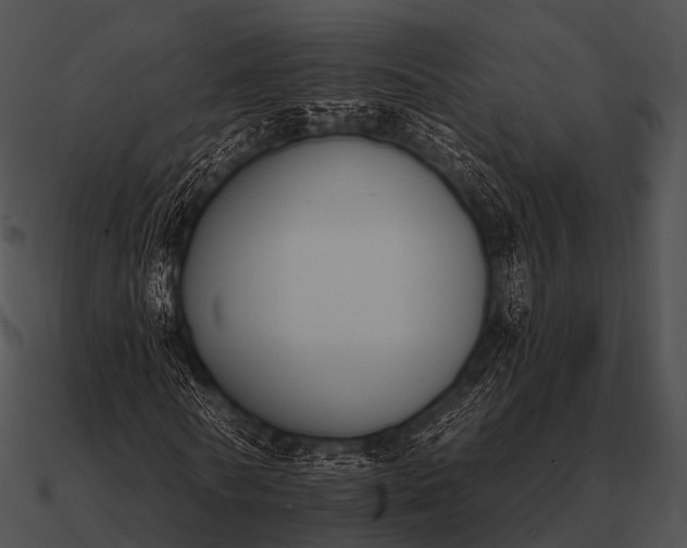 X0000090700770200708031413