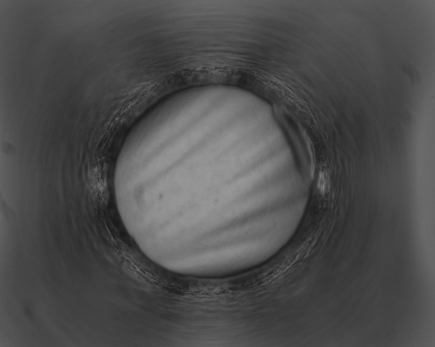 X0000090700771200708031412