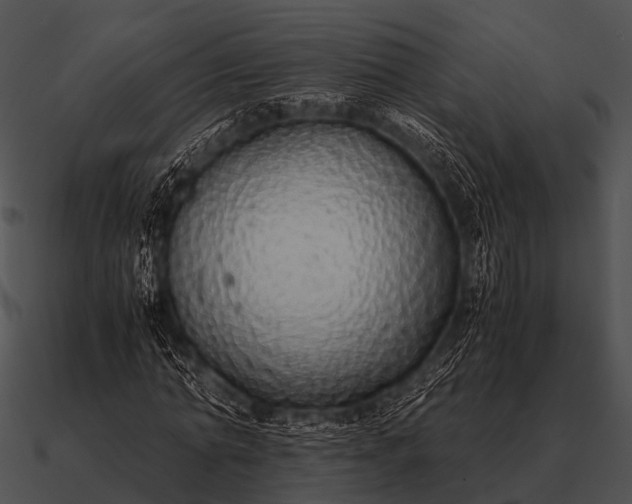 X0000090700774200708031412