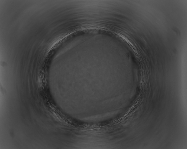 X0000090700775200708031412